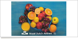KLM Royal Dutch Airlines [BRANDING] [BRANDING] 
