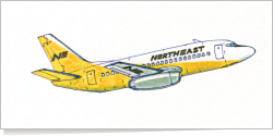 Northeast Airlines Boeing B.737 reg unk