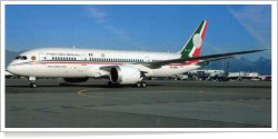Fuerza Aérea Mexicana / FAM Boeing B.787-8 [GE] Dreamliner XC-MEX