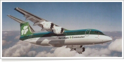 Aer Lingus Commuter BAe -British Aerospace BAe 146-300 EI-CLG