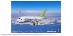 Solaseed Air Boeing B.737-81D JA801X