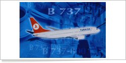 THY Turkish Airlines Boeing B.737-8F2 TC-JFD